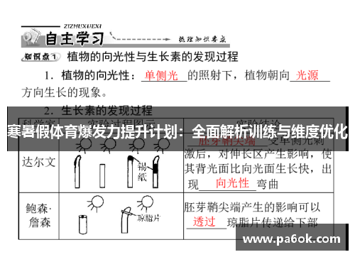 寒暑假体育爆发力提升计划：全面解析训练与维度优化